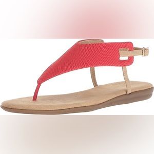 Aerosoles - Women's Chlose Friend Sandal - Size 8 NIB